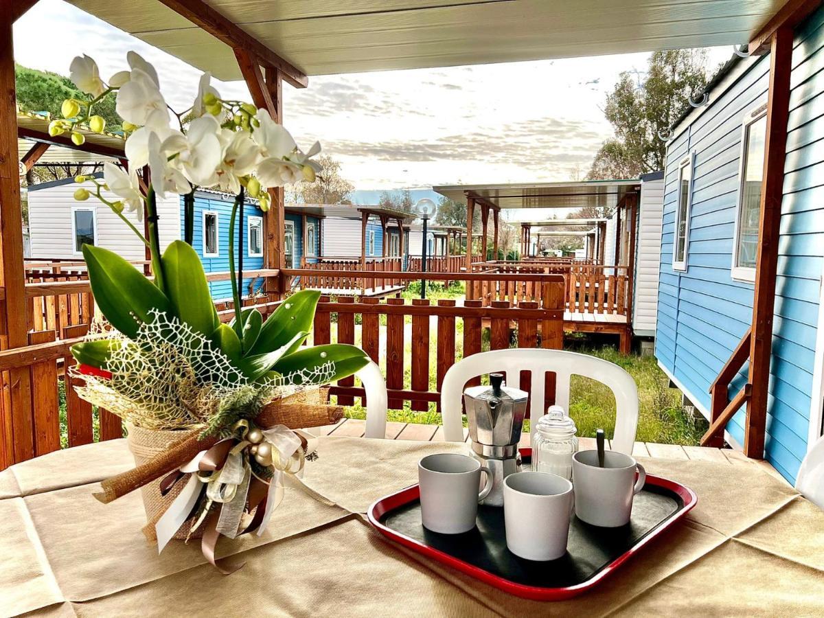 Camping Village Tuscia Tirrenica Tarquinia Εξωτερικό φωτογραφία
